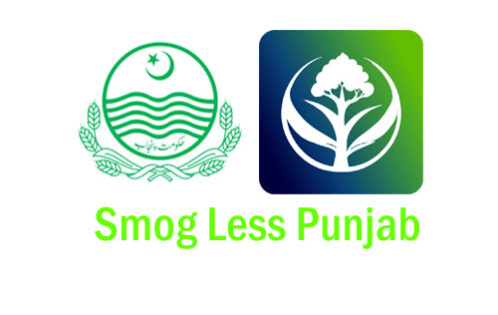CM Punjab