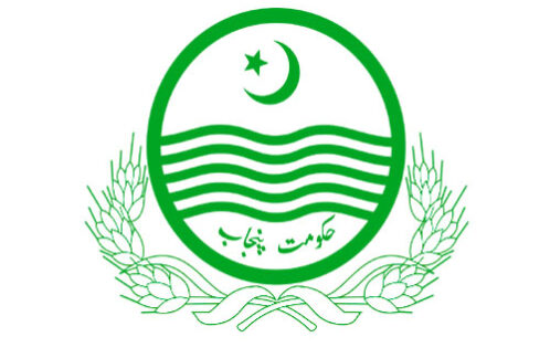 Bureau of Statistics Punjab Jobs 2025
